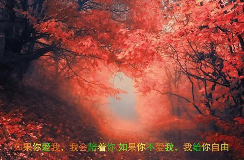祖国在我心中的诗歌和名人故事王昭君出塞
