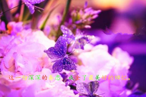 夏漓鸽容焱小说全文免费阅读完整版小说_夏漓鸽容焱小说全文免费阅读全文免费阅读