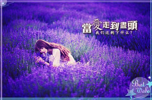 中级电工求职简历表格