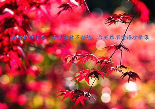 华玥凰冯默宁免费阅读无弹窗华玥凰冯默宁（华玥凰冯默宁）全文免费阅读无弹窗大结局_(华玥凰冯默宁)华玥凰冯默宁最新章节列表（华玥凰冯默宁）