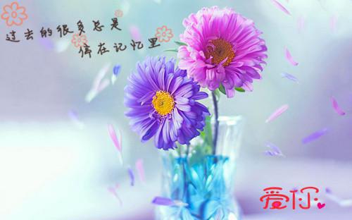 赵宝力林初雪周甜甜全文免费阅读（独家冲喜小说）全文在线赵宝力林初雪周甜甜读无弹窗大结局_（独家冲喜小说赵宝力林初雪周甜甜）独家冲喜小说最新章节列表（赵宝力林初雪周甜甜）