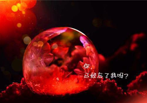 大学生必读的文史类经典书籍推荐