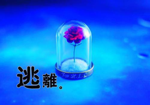 初逢青山梦长安：结局+番外（沈书妤顾怀瑾）全文免费阅读无弹窗大结局_初逢青山梦长安：结局+番外（初逢青山梦长安：结局+番外免费阅读）最新章节列表（沈书妤顾怀瑾）