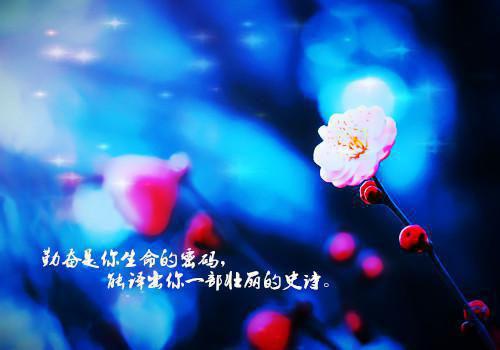 美女校花的修真高手最新章节_美女校花的修真高手全文免费阅读