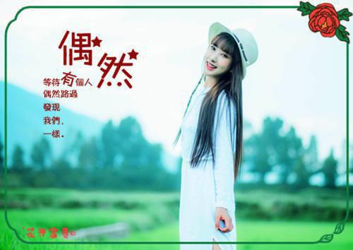 应聘教师的个人简历表格