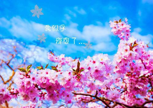工作励志正能量话语
