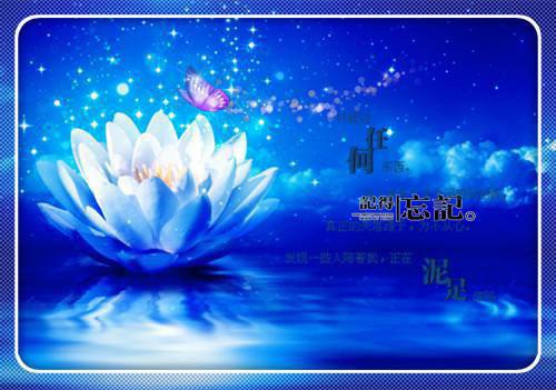 沈幼星傅遇(沈幼星傅遇全文)全文免费阅读无弹窗大结局_(沈幼星傅遇全文免费阅读全文大结局)最新章节列表（沈幼星傅遇全文）