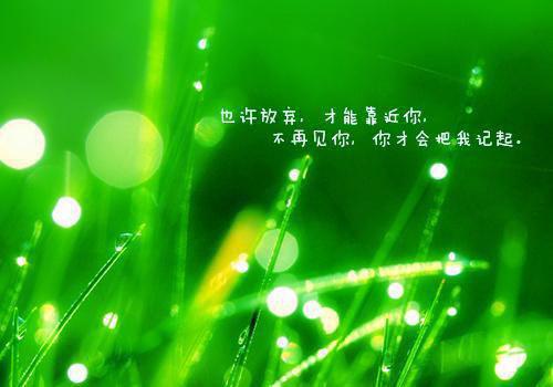 马云对成功的定义
