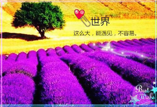 伤感的爱情故事