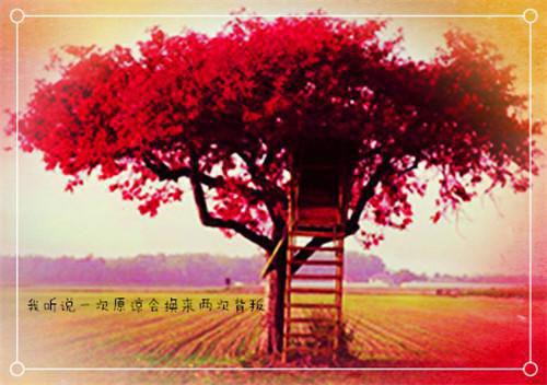 七零后妈的解脱之路纪语卿贺念辰无删减（七零后妈的解脱之路：纪语卿贺念辰结局+番外）全文免费阅读无弹窗大结局_七零后妈的解脱之路纪语卿贺念辰完本小说全章节阅读（七零后妈的解脱之路：纪语卿贺念辰结局+番外）