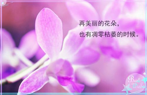 陈子鸣宁晚免费阅读第5章 陈子鸣宁晚大结局