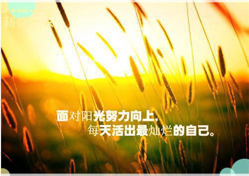 精彩励志美文精选两篇