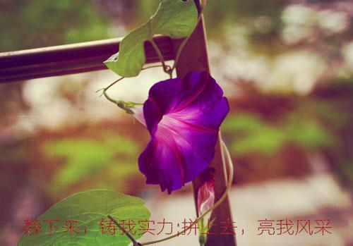 工作坚持正能量文章