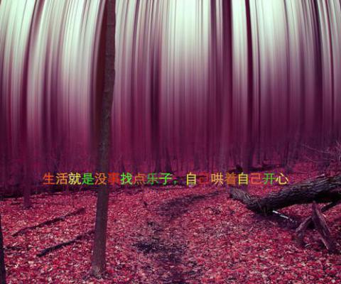 宋洛菲宋熙然全文免费阅读（云朵改文:挽梦念雨）全文免费宋洛菲宋熙然读无弹窗大结局_（云朵改文:挽梦念雨宋洛菲宋熙然）云朵改文:挽梦念雨最新章节列表（宋洛菲宋熙然）