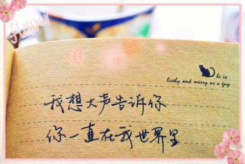 2023个人简历标准版范文