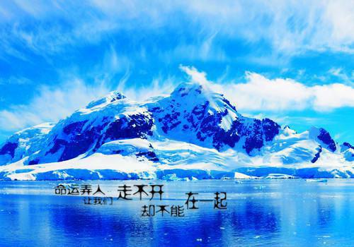 网络创业成功的故事3个