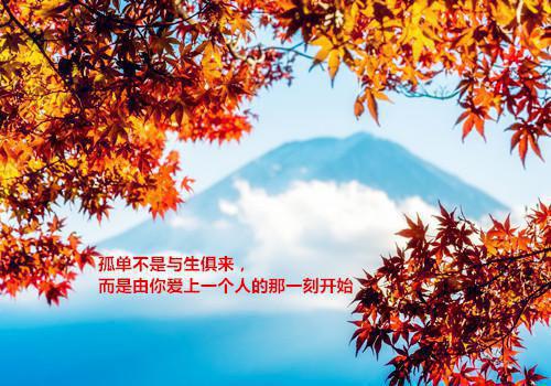 熔炉游戏最新章节_熔炉游戏全文免费阅读