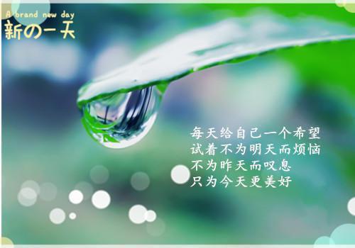 纸短情难续：精选作品云璟完本在线小说免费阅读