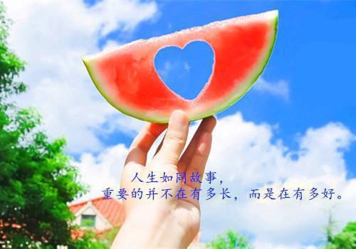 毕业生个人简历范本