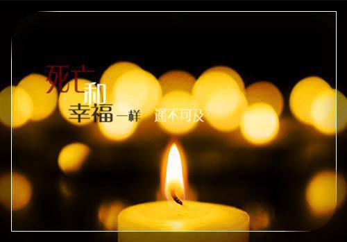 林今野桑夏小说 林今野桑夏免费全文阅读