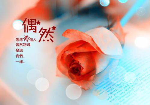 折寒枝簪起霜思：免费阅读无弹窗沈棠眠宋闻璟小说_折寒枝簪起霜思：免费阅读无弹窗免费阅读