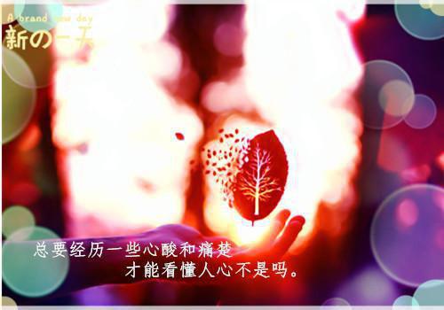 随风的小说_绝望幻想贺明,郑情,羽露大结局阅读