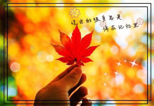 销售工程师求职简历表格