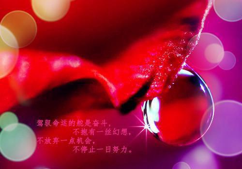 财务会计求职个人简历范文
