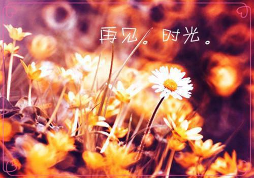 兼职导购求职简历表格