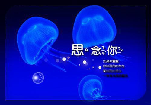 真实名人正能量故事