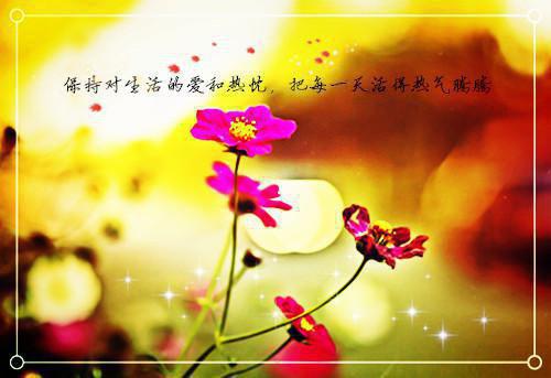 陈鑫林玲最新章节_陈鑫林玲全文免费阅读