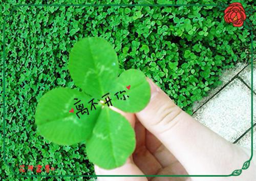 慧姐小婷全文免费阅读（茶香催更小说）全文在线慧姐小婷阅读无弹窗大结局_(慧姐小婷小说小说在线慧姐小婷阅读)最新章节列表（慧姐小婷）
