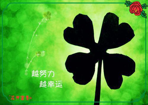 （余嘉芳肖天钧小说）全文免费阅读无弹窗大结局_（余嘉芳肖天钧小说阅读无弹窗）余嘉芳肖天钧小说最新章节列表（余嘉芳肖天钧小说）