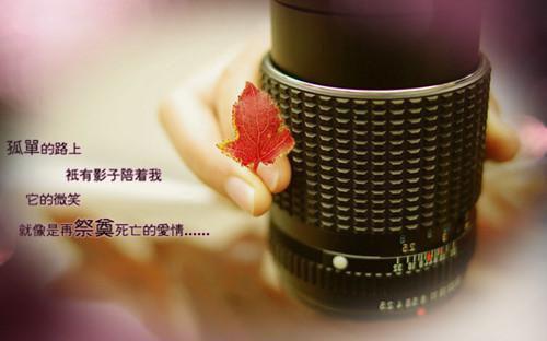 发给客户的励志短信