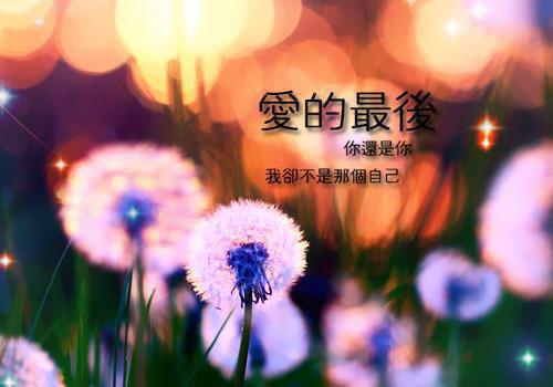 2023年文员应聘简历