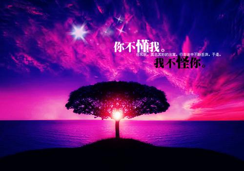精辟的人生感悟语句