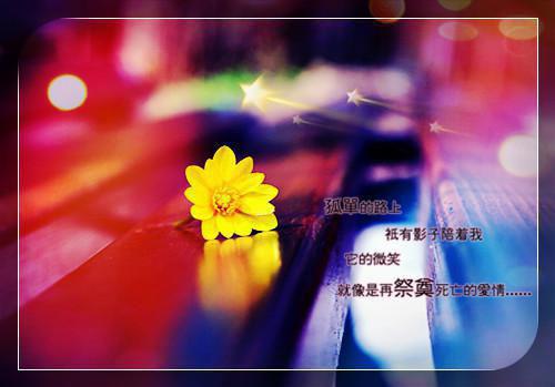 2023应聘文员简历