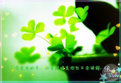 优秀教师个人简历模板