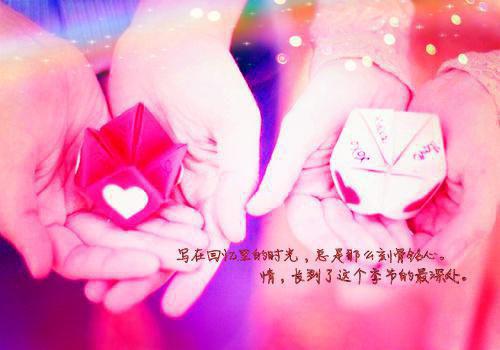 护士个人简历表空白