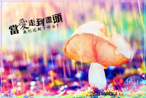空霉贩卖小说全文免费阅读(童紫川)全文免费童紫川读无弹窗大结局_云上(大梦小说免费童紫川读)童紫川免费童紫川读无弹窗最新章节列表（童紫川）