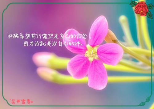 骆梨郁丞凛免费小说 骆梨郁丞凛在线阅读