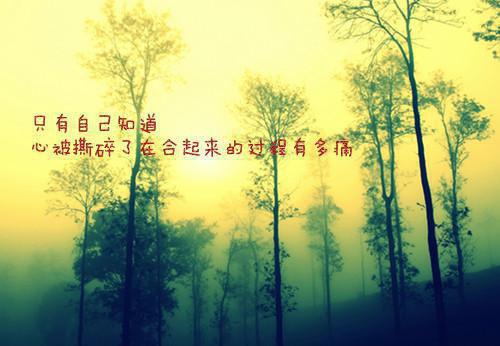 情深倦怠终不偿小说全文免费阅读(凌舒祁修远)全文在线凌舒祁修远阅读无弹窗大结局_(情深倦怠终不偿小说凌舒祁修远)情深倦怠终不偿小说在线凌舒祁修远阅读无弹窗最新章节列表(凌舒祁修远)