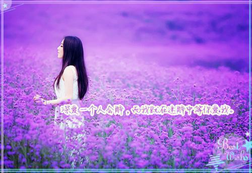 林昭裴观（林昭裴观）全文免费阅读无弹窗大结局_ （林昭裴观）林昭裴观林昭裴观最新章节列表（林昭裴观）