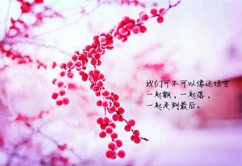 养育19年，女儿将我网暴最新章节_养育19年，女儿将我网暴全文免费阅读