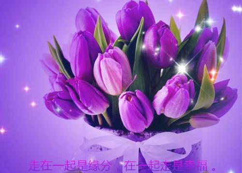 10岁儿童睡前故事