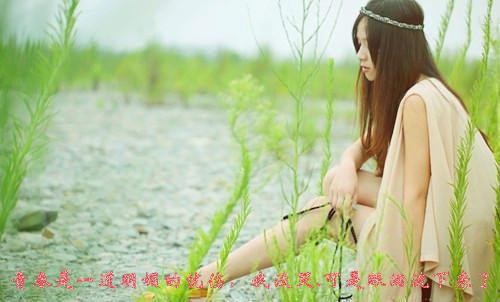 我来陪你：结局+番外+结局（许霖贺青阳）全文免费阅读无弹窗大结局_我来陪你：结局+番外免费阅读最新章节列表（我来陪你：结局+番外）