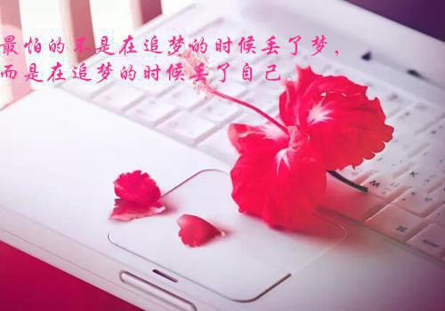 药剂师人才个人的英文简历模板