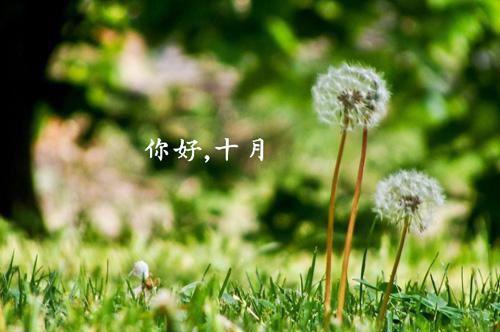 桑允眠陆蔺小说（陆蔺桑允眠）全文免费阅读无弹窗大结局_（陆蔺桑允眠）桑允眠陆蔺小说最新章节列表（陆蔺桑允眠）