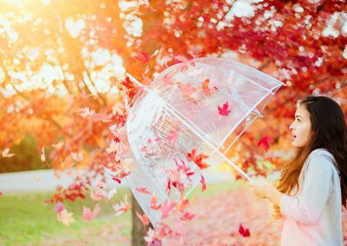 全章节退婚后，我的高冷未婚妻后悔了「精彩小说」上官雄,上官清,东西全集阅读
