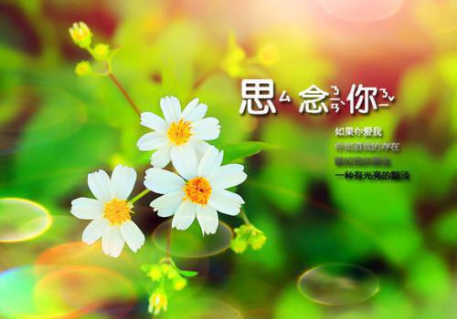 长征小故事十篇